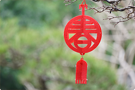 祝您春节快乐，万事如意，阖家欢乐！